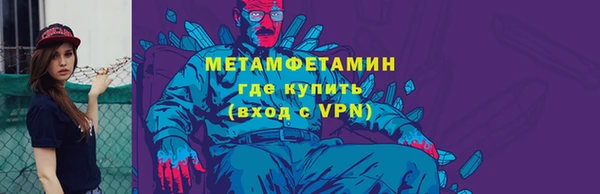 шишки Медвежьегорск