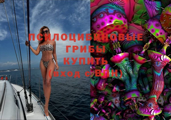 стафф Алексеевка