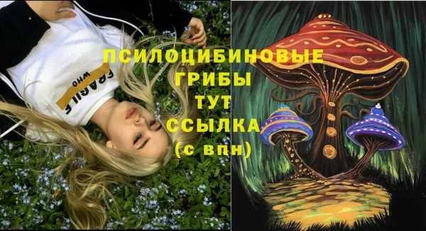 стафф Алексеевка