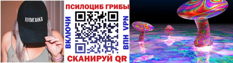 блэк спрут как войти  Павловская  Галлюциногенные грибы ЛСД 